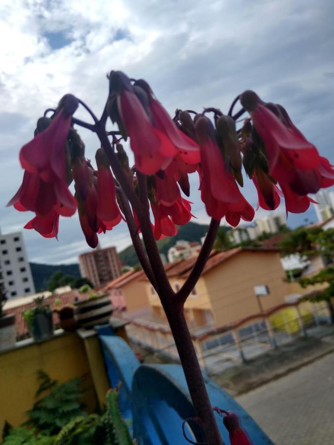 Apartamento com piscina na Martim de Sá Caraguatatuba Esterno foto